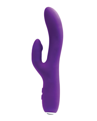 VI-P1303 - VI-P1303b