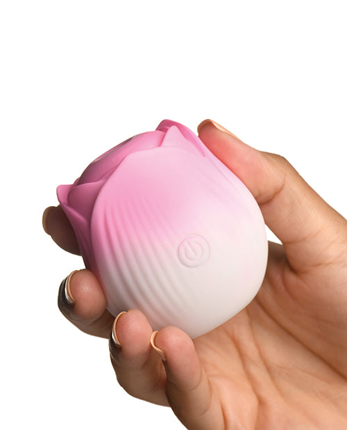 XRAH387-Pink - XRAH387-Pinkd