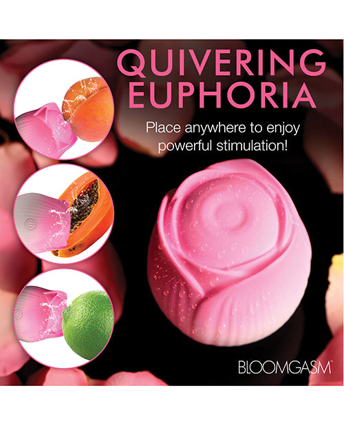 XRAH387-Pink - XRAH387-Pinkf