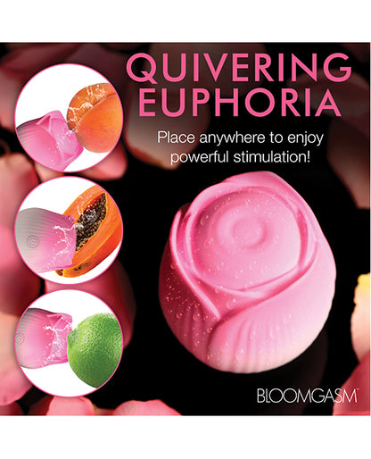 XRAH387-Pink - XRAH387-Pinkf