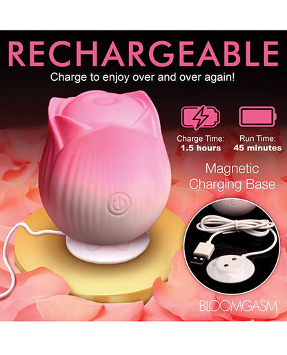 XRAH387-Pink - XRAH387-Pinkg