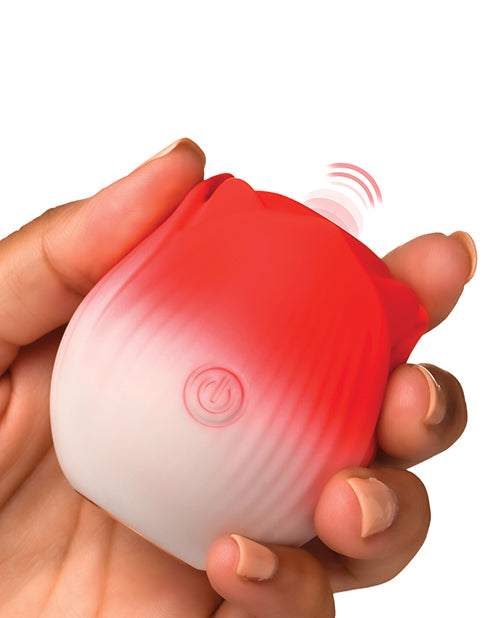 XRAH387-Red - XRAH387-Reda