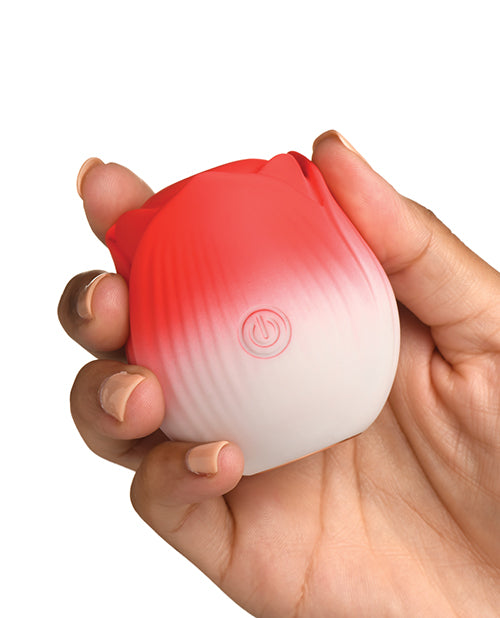 XRAH387-Red - XRAH387-Redb