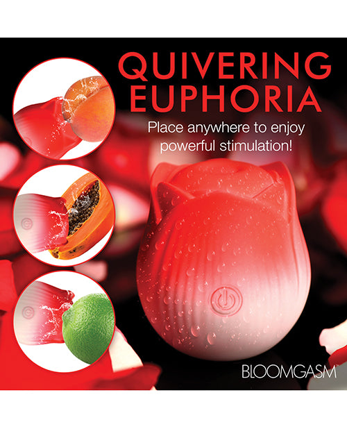 XRAH387-Red - XRAH387-Redd