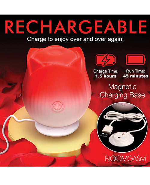 XRAH387-Red - XRAH387-Redf