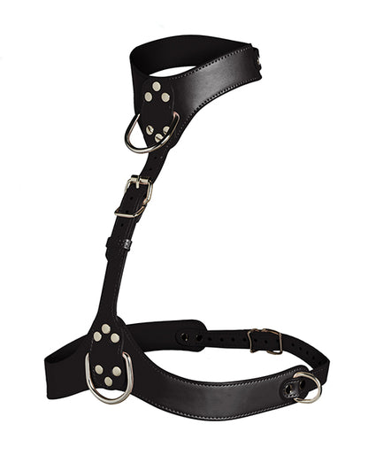 Vixen Female Chest Harness - Black