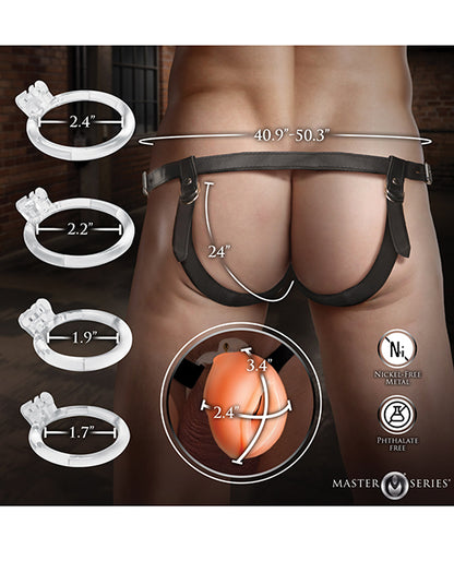 Master Series Pussy Chastity Cage - Light