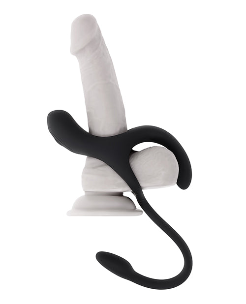 Zero Tolerance All The Bases - Black