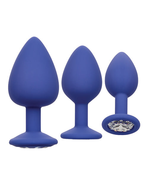 Cheeky Gems 3 pc Plug Set - Purple